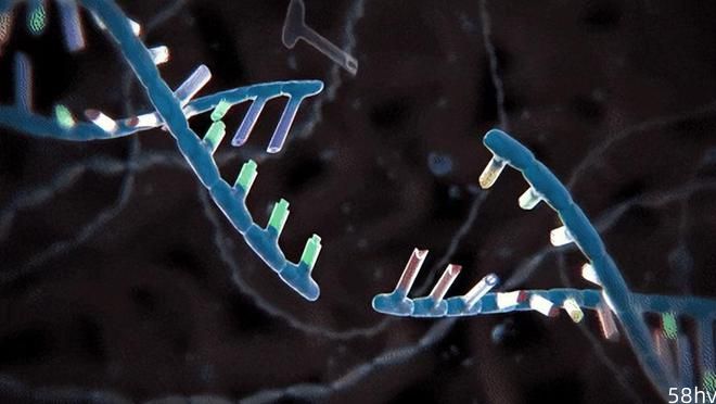 Science重磅：人类首次通过CRISPR基因编辑，成功实现个性化抗癌