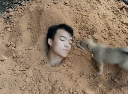 一男子测试小狗忠实程度，竟将自己埋在土里，结果让他泪流满面！