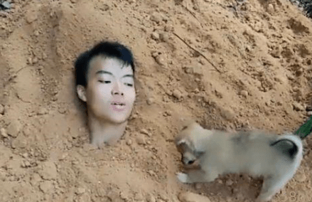 一男子测试小狗忠实程度，竟将自己埋在土里，结果让他泪流满面！