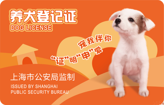 【办证攻略】2023上海市养犬登记证办理