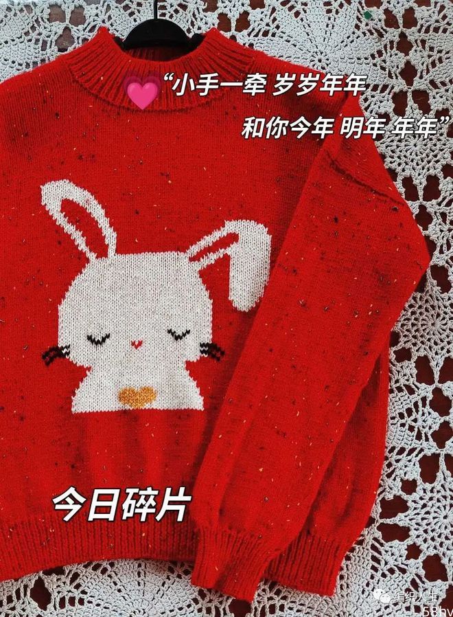 兔年织兔，乖乖兔：可可爱爱的圆领套头毛衣（有编织图解）