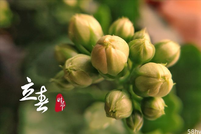2月4日立春节气，“迎春吃3样，一年日子旺”，这三样是什么？