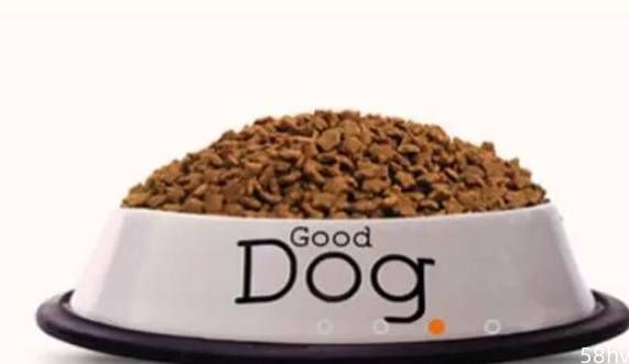 吃惯了单身狗粮，来尝尝真实的狗粮，口感和想象差异大吗？