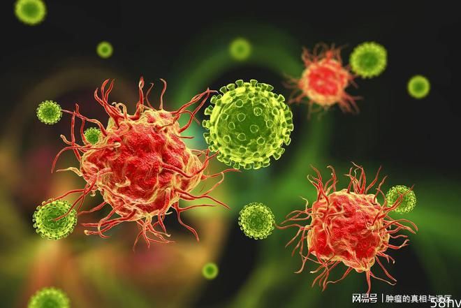 免疫力是“天然医生”？科学家：补充核苷酸14天，免疫功能或增强
