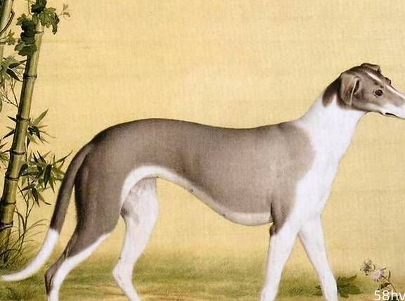 中国神话中的五大神犬，各有什么本领？