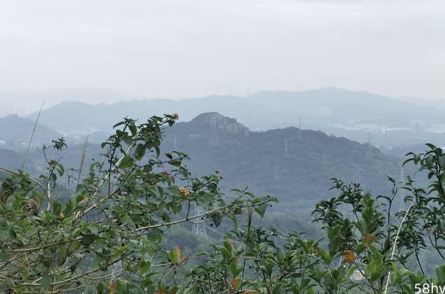 小众人少，景色绝妙！深圳人口中的“卧佛山”找到了！