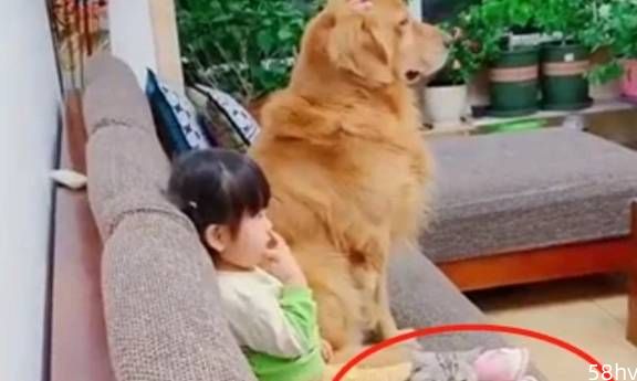 女儿带着猫狗看电视，不断喂狗狗吃零食，猫咪一旁的表情笑喷