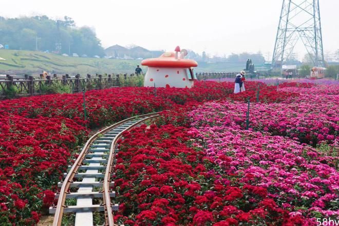 三月广东佛山有哪些赏花露营的地方？