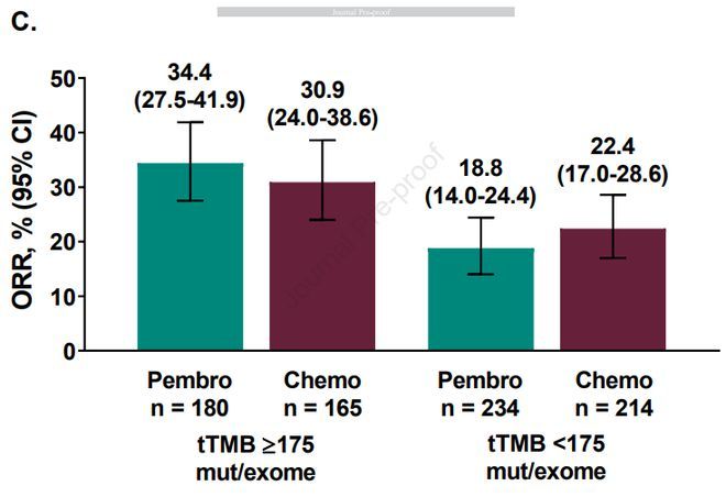 “精准”免疫风向：TMB阈值175助力免疫获益，放射学模型可选PD-L1高表达人群