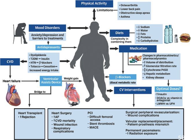 一文了解，肥胖患者心血管疾病评估和管理挑战 