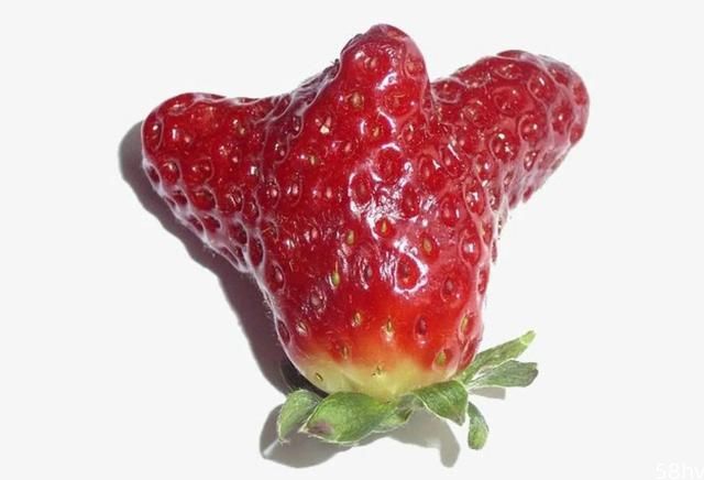 买草莓要看3个地方，一挑一个准，避免买到激素草莓。