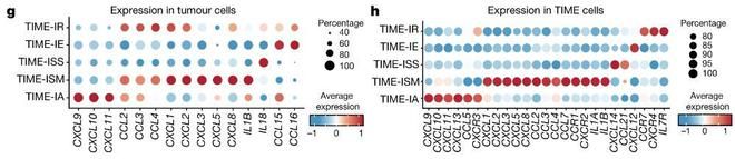 单细胞测序揭示肝癌免疫微环境和中性粒细胞异质性