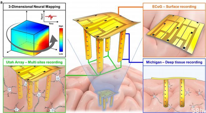 中国学者开发三维神经接口设备实现3D电生理记录，为研究下一代神经接口提供新指导
