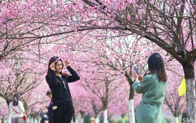 四川一高校放“春恋假”，鼓励学生去谈情说爱，网友却说有猫腻
