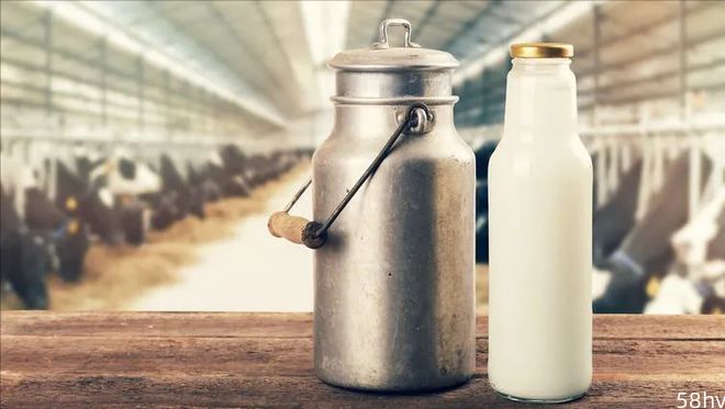 哈佛营养学教授：喝太多牛奶，存在几大潜在风险，不要迷信它