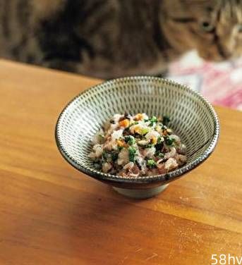 如何让你家的猫食欲大增？自制猫鲜食，从此让猫猫爱上吃饭！