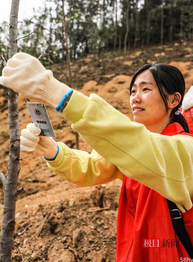 共奋进，齐添绿，武汉20家企业团体以捐资认种的方式植树400余棵