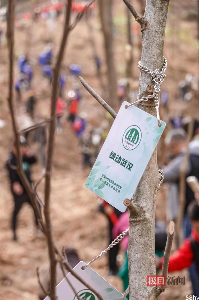 共奋进，齐添绿，武汉20家企业团体以捐资认种的方式植树400余棵