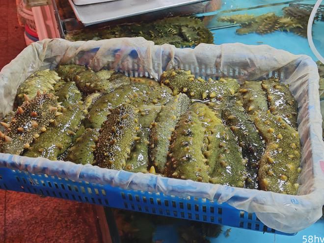 初春青岛海鲜遇冷，现场问多买少，贝类海货10元2斤价格创新高