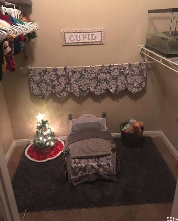 妹子不仅带家里的狗去上了大学，还给它打造了间卧室……绝了！