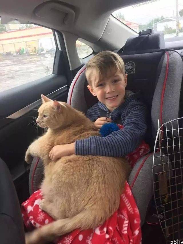 妈妈让儿子自己选领养的宠物，最终他抱走“10岁老猫”