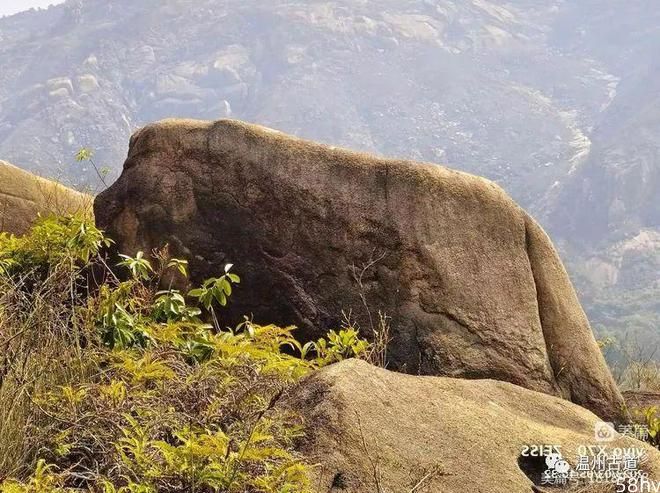 大罗山最新奇石--金毛狮王，你可曾见过？