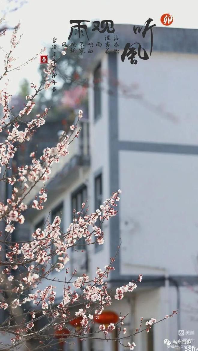 太美！这个入选《中国赏花地图》的浙江“杏花村”，藏着整个江南春天！