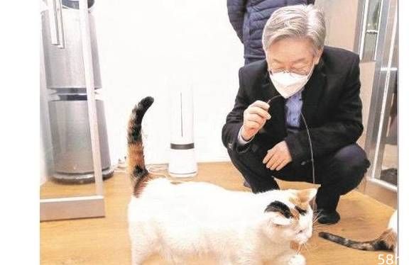 宠物也会影响韩国总统大选？对宠物展爱心，是1500万养宠人选票？