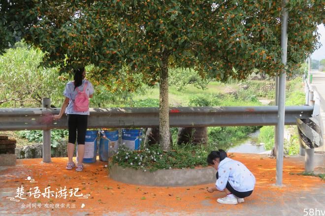 宁波这个古村毗邻天下第一桃园，依山傍水，同为欣赏桃花的好去处