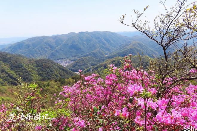 宁波最美登山打卡点，清溪流水和鲜花相映，成为赏花和踏青好去处