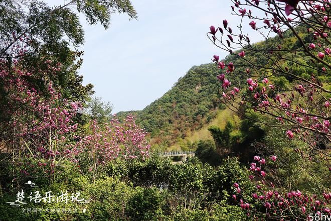 宁波最偏僻的古村落，藏于山岙无人问津，却有幽深古道和鲜花美景
