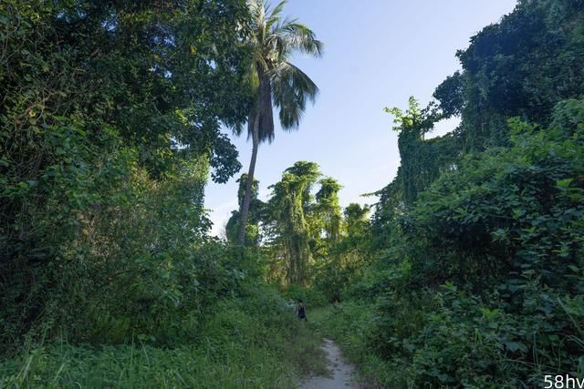 小众秘境岛屿森林徒步，探访海龟产卵地，感受原始马来西亚