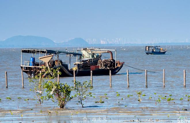 广东阳江隐藏一处秘境，入选“中国十大最美海岛”，景色堪比三亚