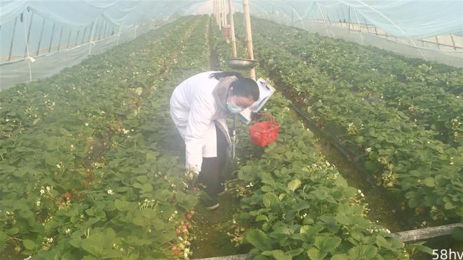 吃草莓的旺季来临，武汉市做了这个检测，结果……