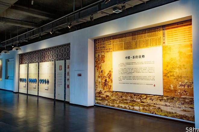 黄山祁红产业文化博览园，国家4A级景区，感受传统非遗的研学之旅