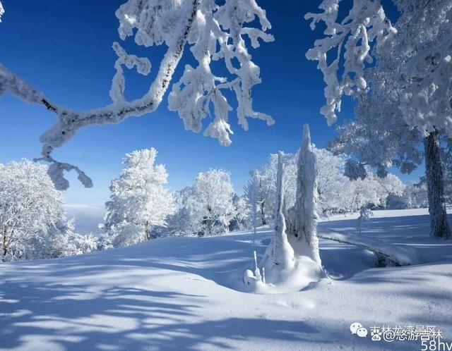 龙湾美景之凇雪童话
