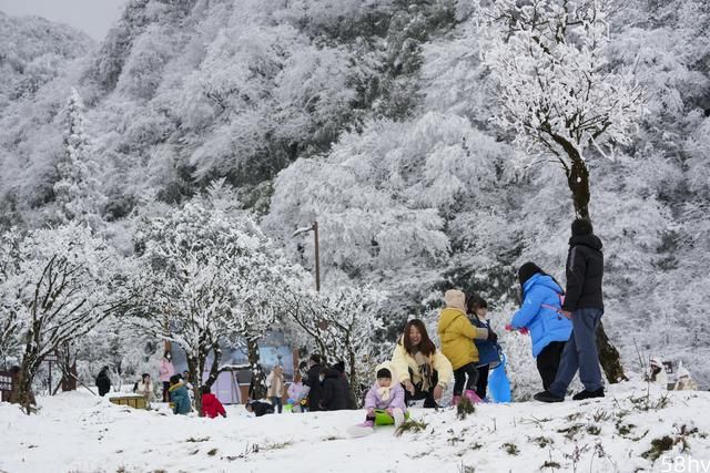 （社会）重庆：冰雪经济催动金佛山冬季旅游实现“开门红”
