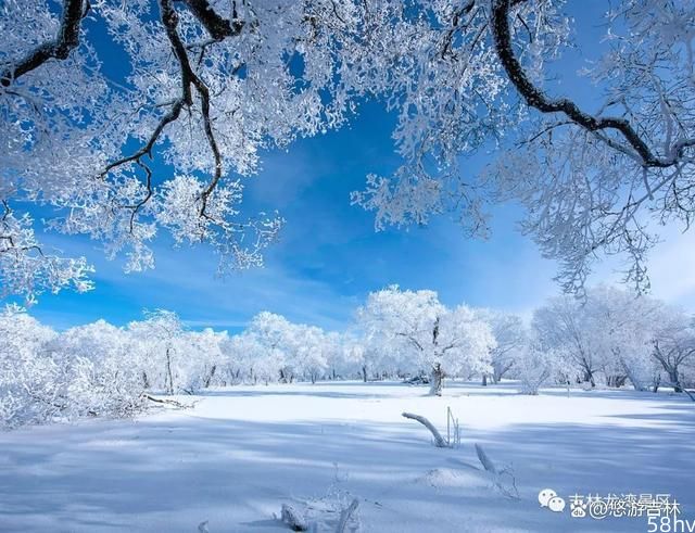 龙湾美景之凇雪童话