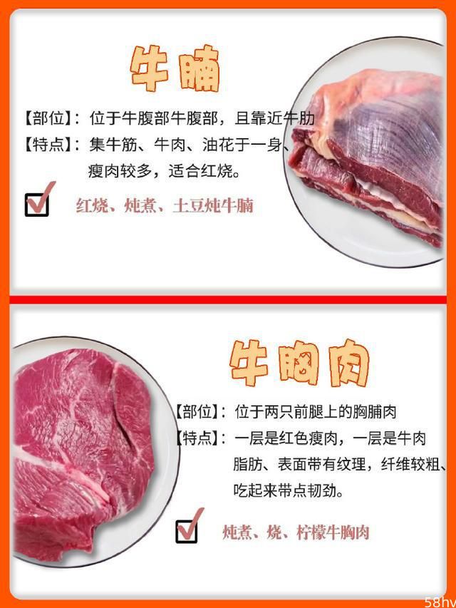 常见牛肉部位的特点与做法