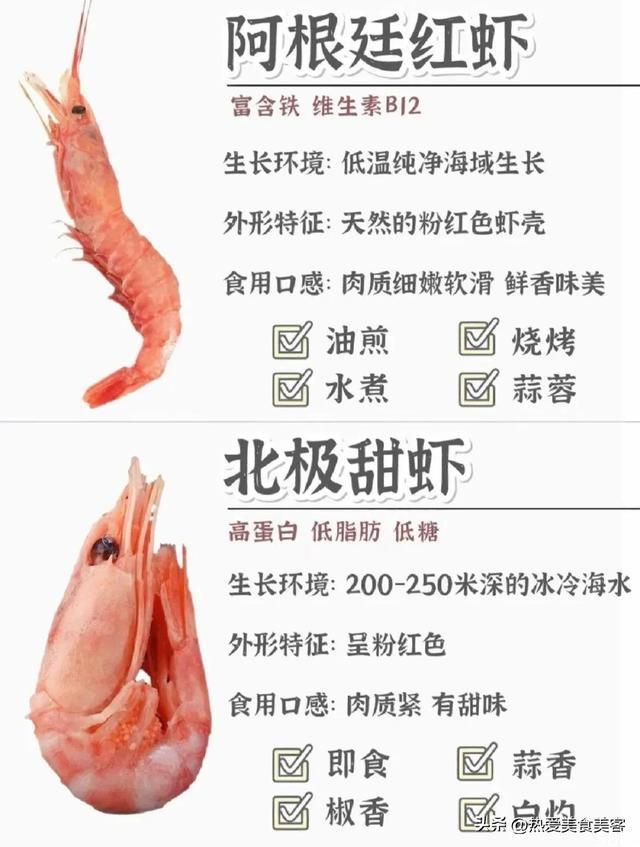 常见虾的品种区别营养价值