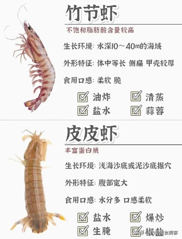 常见虾的品种区别营养价值