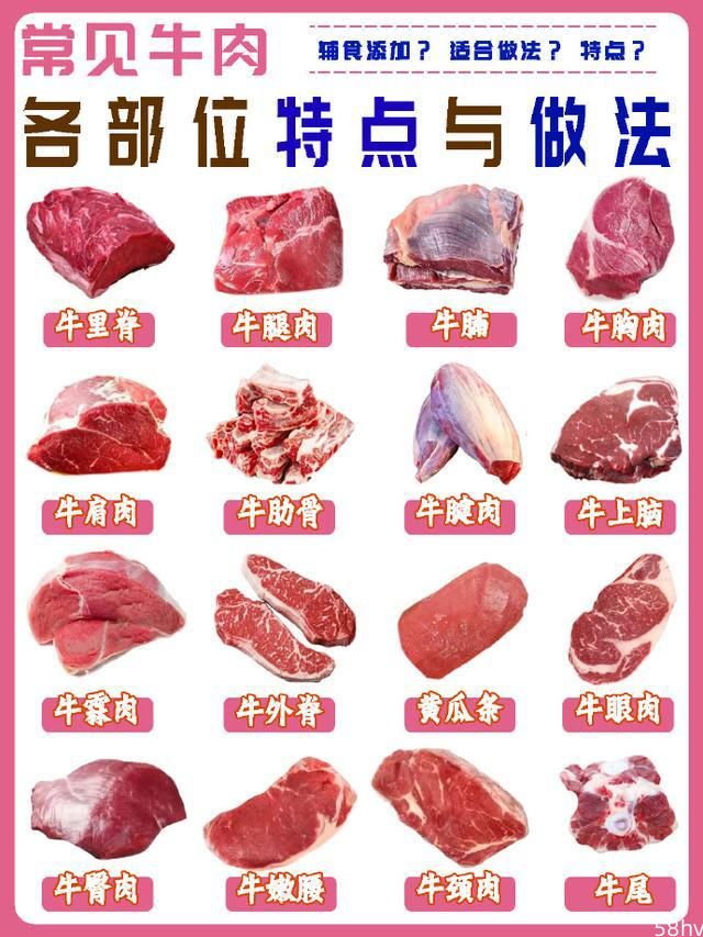常见牛肉部位的特点与做法