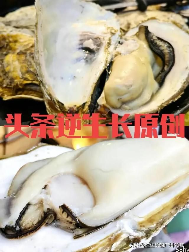 广州最厉害最多人排队的啫啫煲，西华路土著街坊公认第一名最好吃