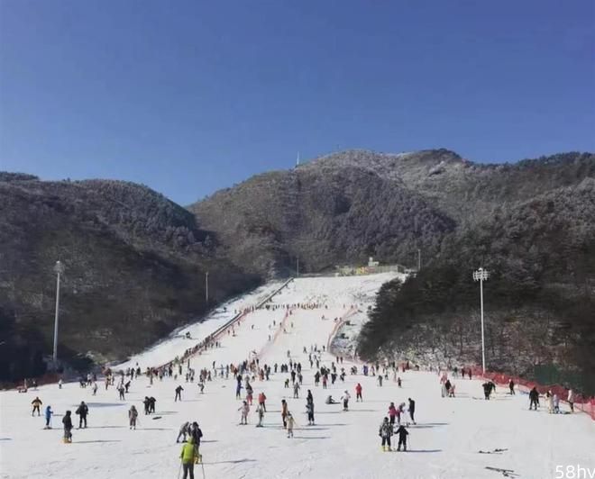 新春走基层｜迎客近万人！“九宫山滑雪”成为短途游热宠
