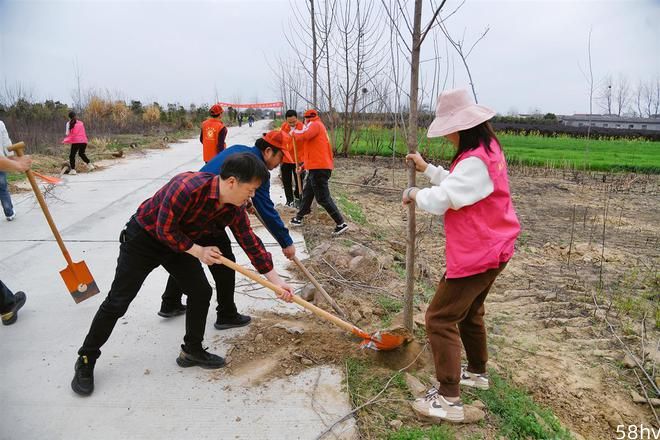 春风吹新绿，武汉新洲街道开展植树活动