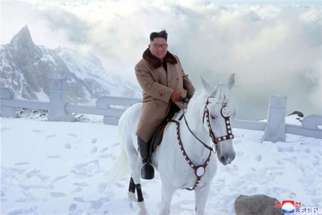 朝鲜从俄罗斯进口51匹马，金正恩曾骑这种马在白头山疾驰