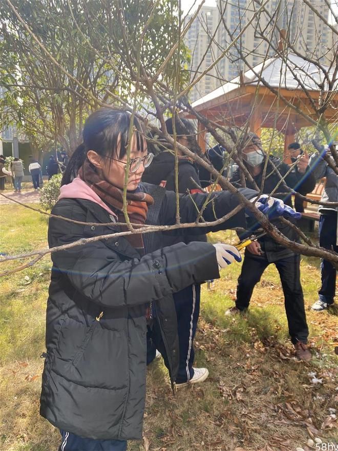 武汉一高中开展护树活动，校园里的植物有了守护者