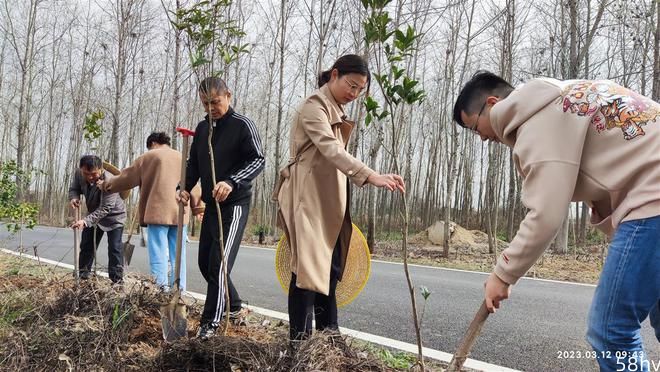 武汉新洲：14名知识分子联谊会会员种下312棵桂花树