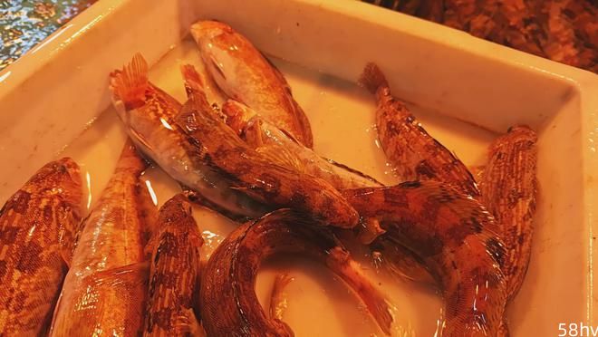 来青岛别光盯着大虾，开春解馋4样味美价廉，本地鲅鱼还要等等