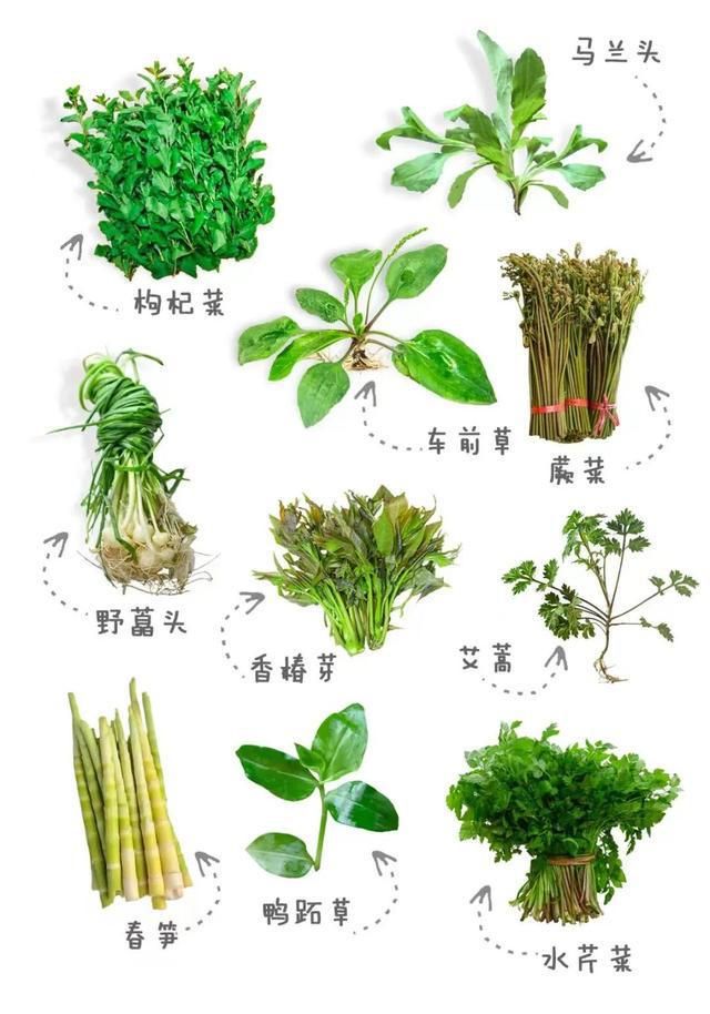 桂林春天的吃“草”指南！（二）